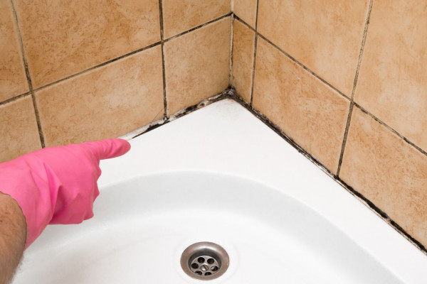 7 τρόποι να απομακρύνετε την μούχλα απο το μπάνιο σας